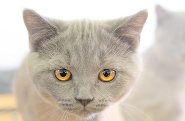 Similar image 21283430