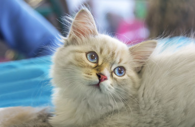 Similar image 21283431