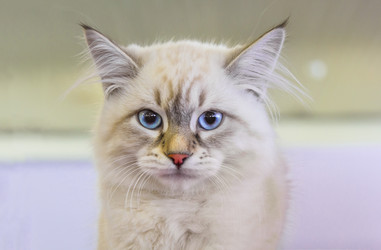 Similar image 21283432