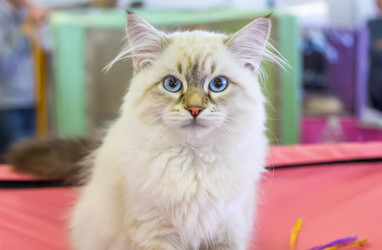 Similar image 21283433