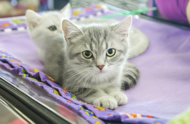 Similar image 21283434