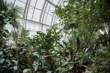 Similar image 21291972