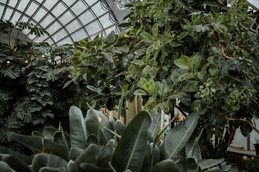 Similar image 21291973