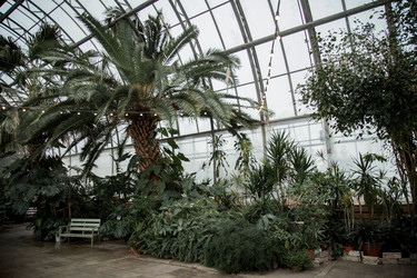 Similar image 21291976