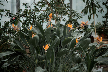 Similar image 21291977