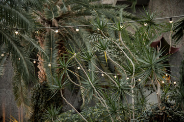 Similar image 21291978