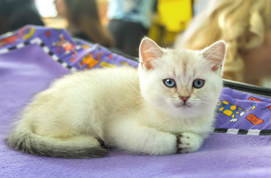 Similar image 21283437