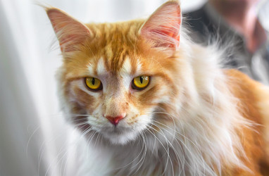 Similar image 21283438