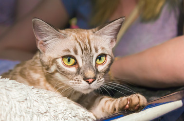 Similar image 21283439