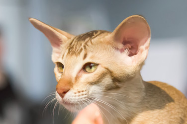 Similar image 21283441