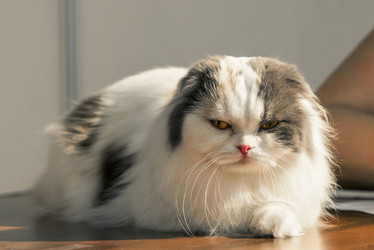 Similar image 21283442