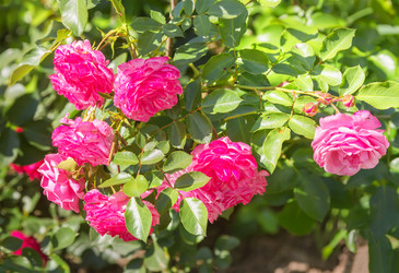 Similar image 21283445