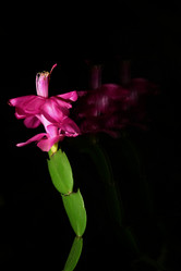 Similar image 21267255