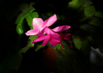 Similar image 21267257