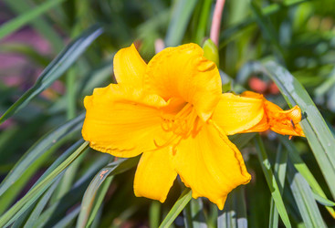 Similar image 21283066