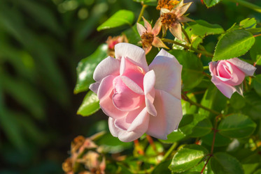 Similar image 21283068