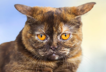 Similar image 21283197