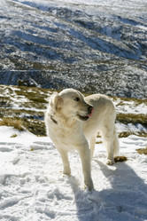 Similar image 21269935