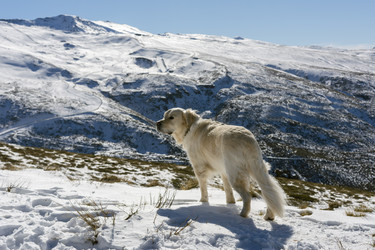 Similar image 21269936