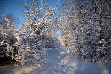 Similar image 21267261