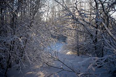 Similar image 21267262