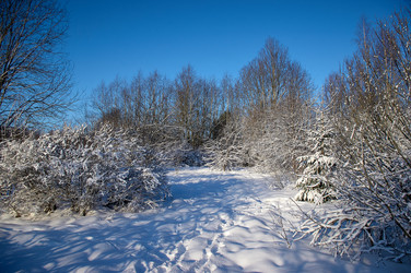 Similar image 21267263