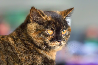 Similar image 21283198