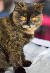 Similar image 21283199