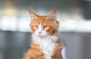 Similar image 21283201