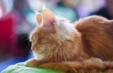 Similar image 21283202