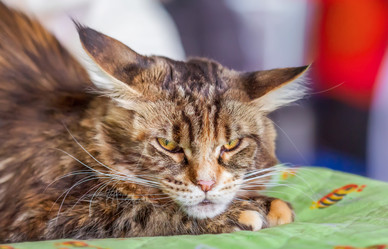 Similar image 21283203