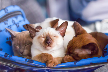 Similar image 21283204