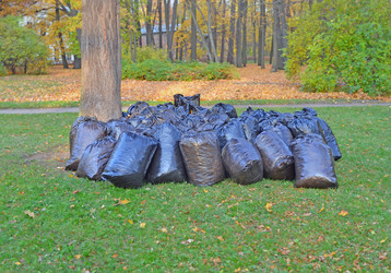 Similar image 21268395