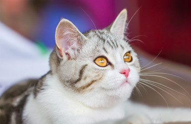 Similar image 21283360