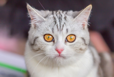 Similar image 21283361