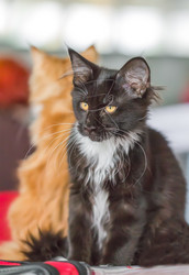 Similar image 21283363