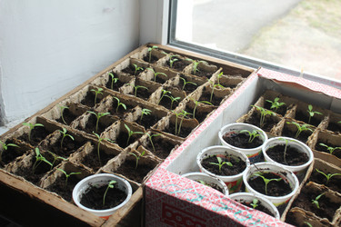 Similar image 21276765