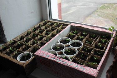 Similar image 21277259