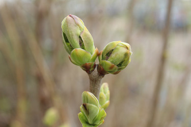 Similar image 21277260