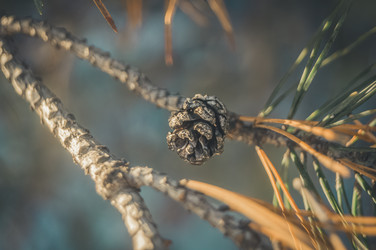 Similar image 21268740