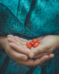 Similar image 21268742