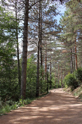 Similar image 21268399