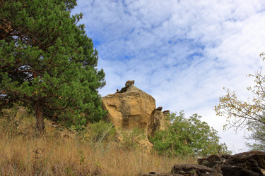 Similar image 21268405