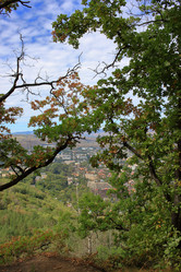 Similar image 21268421