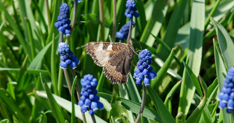 Similar image 21270760