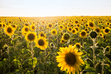 Similar image 21270768