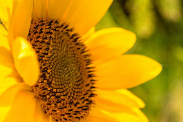 Similar image 21270771