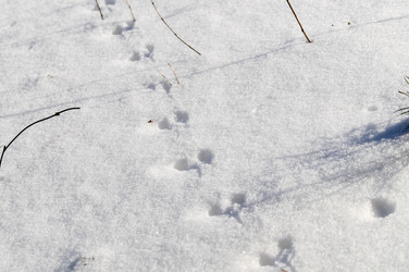 Similar image 21268754