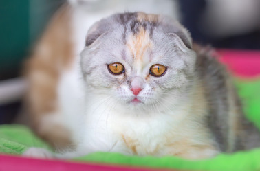 Similar image 21283072