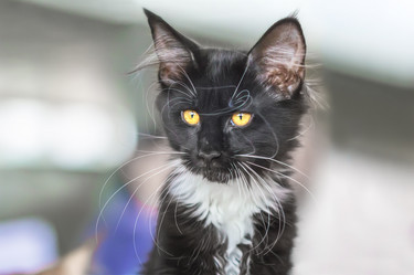 Similar image 21283073